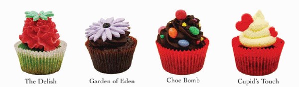 The range of delicious cupcakes that will be available on the day 